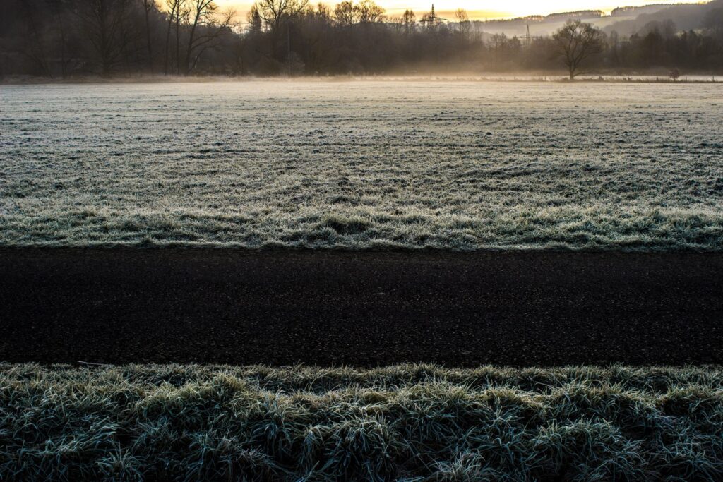 Frosty Frozen Ground